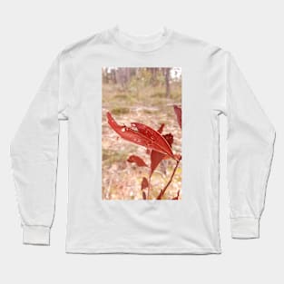 Red Eucalypt Leaves, Stawell Long Sleeve T-Shirt